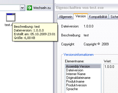 Datei:Assembly information in exe.jpg