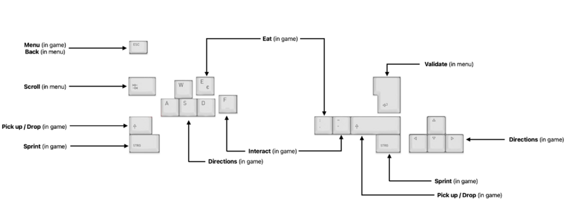 Datei:WS23 sopra04 04.png